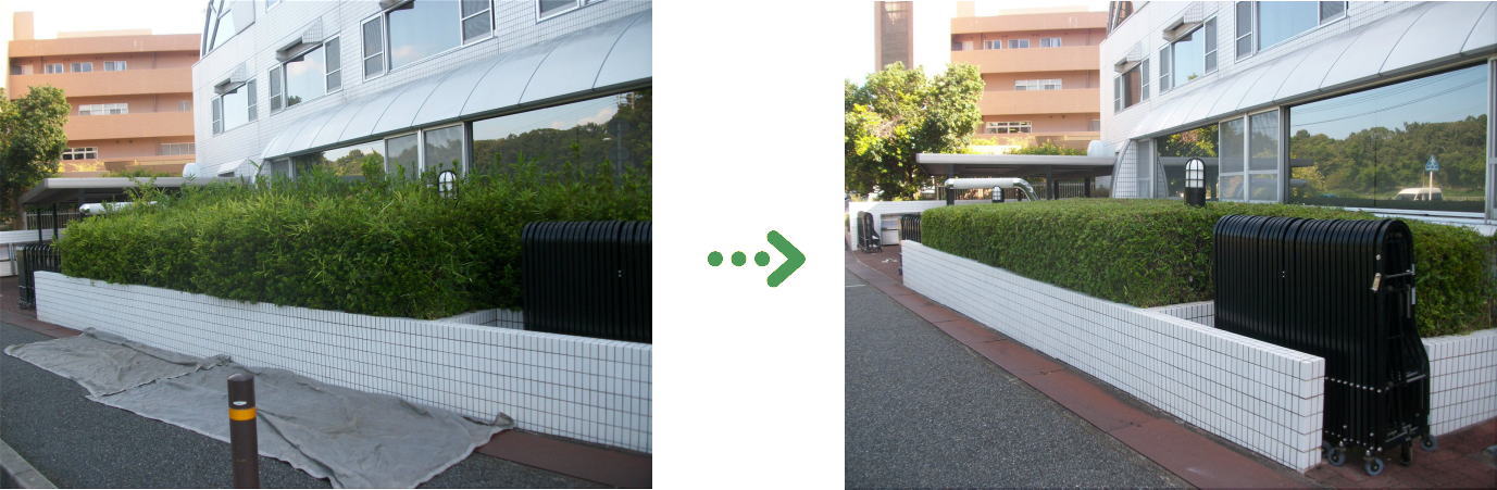 植栽管理の施工前と施工後